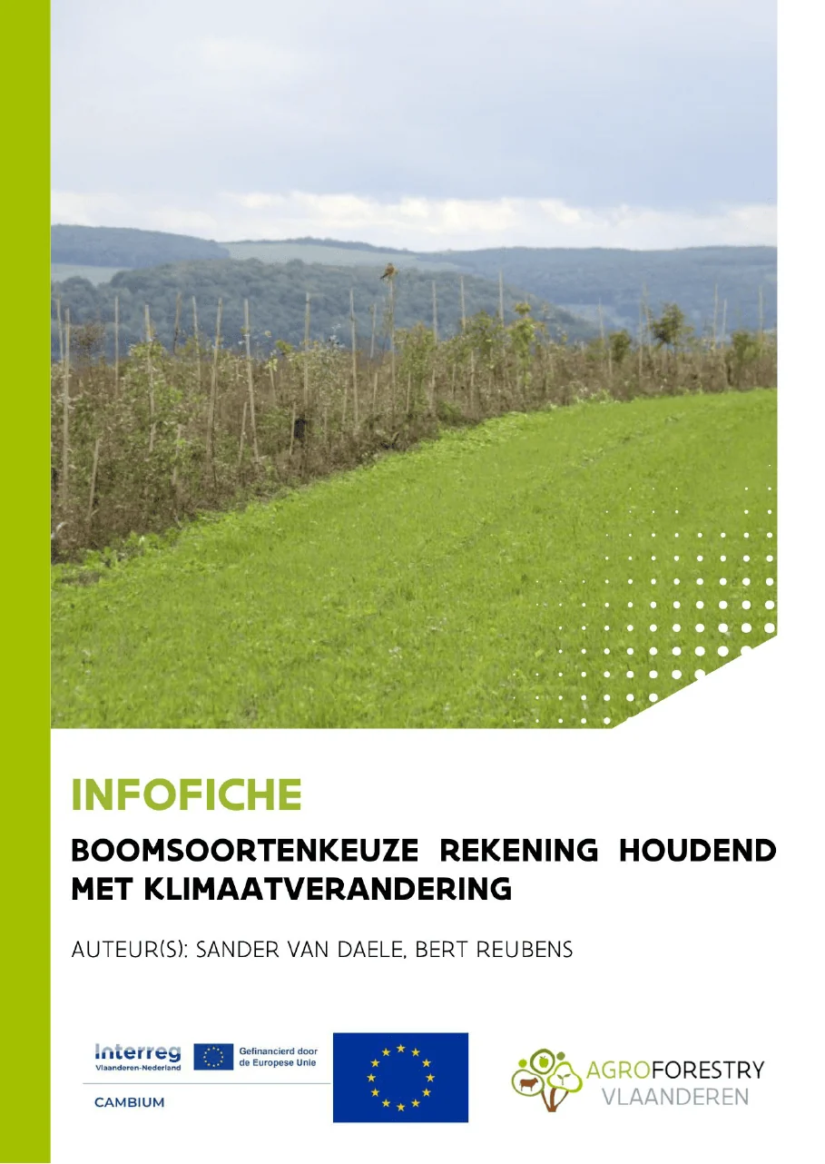 boomsoortenkeuze klimaat