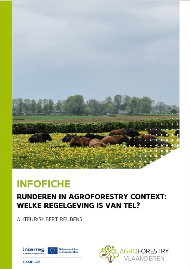 Regelgeving runderen in agroforestry