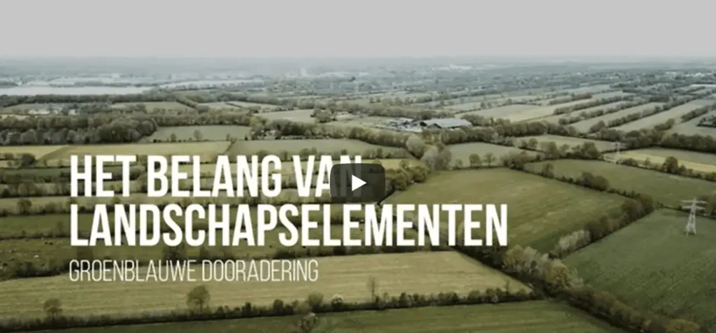 Video landschapselementen