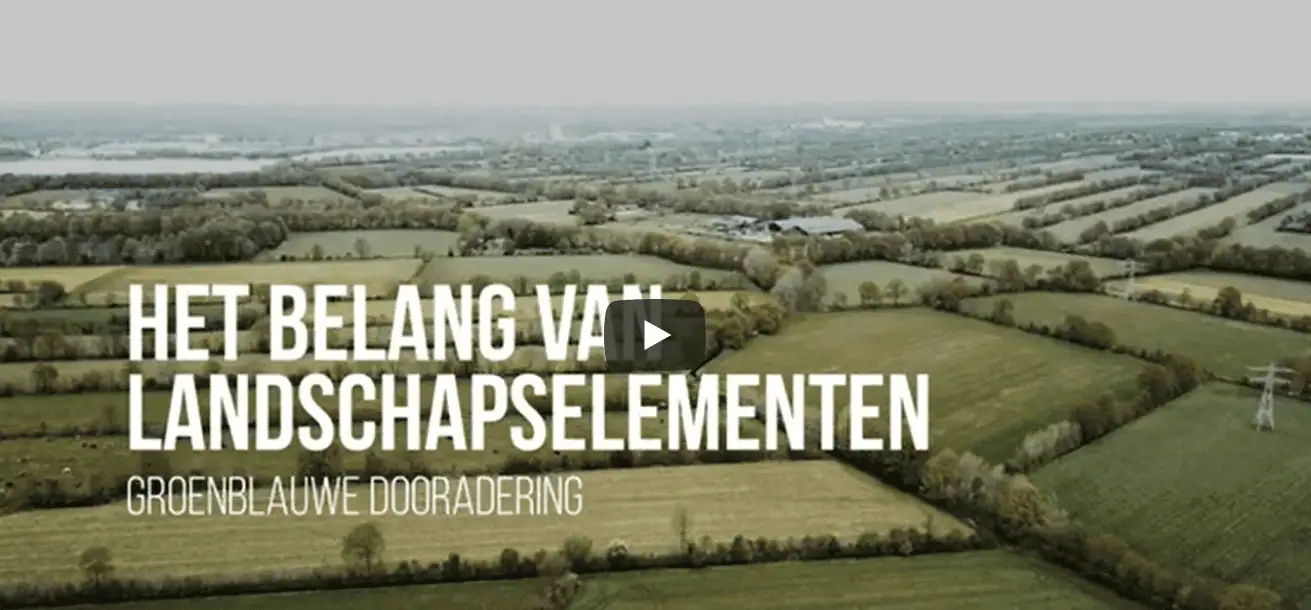 Video landschapselementen