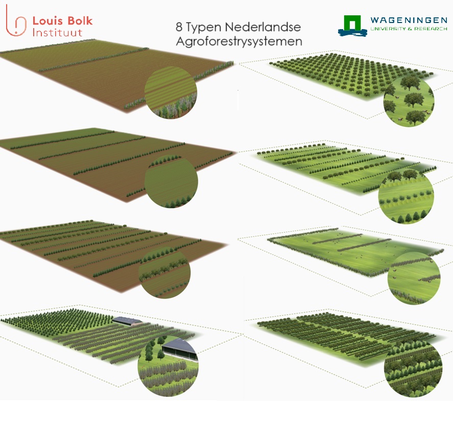 Deze afbeelding toont 8 typen Nederlandse agroforestry